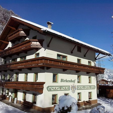 Pension Birkenhof Mayrhofen Buitenkant foto