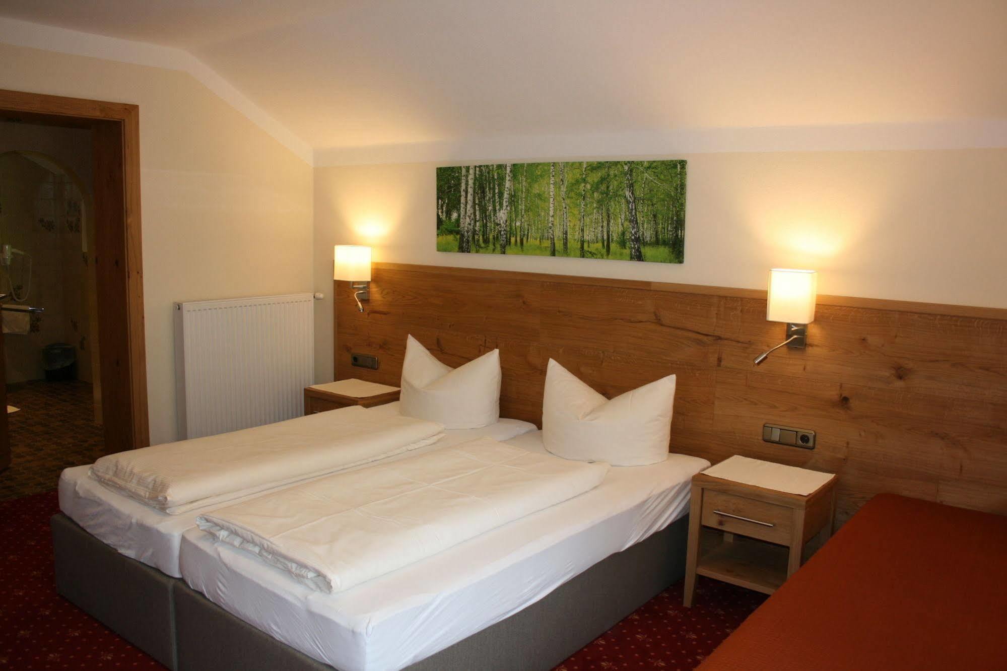 Pension Birkenhof Mayrhofen Buitenkant foto