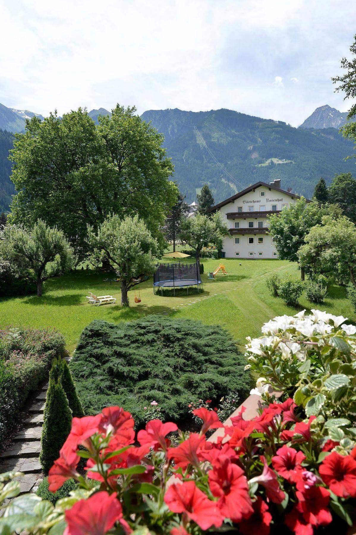 Pension Birkenhof Mayrhofen Buitenkant foto